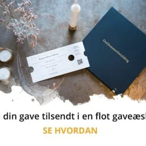 Send en oplevelsesgave