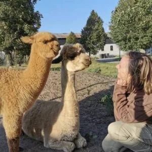 Besøg i Alpacapark