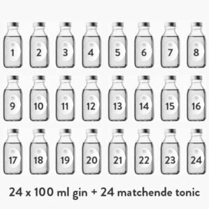 Gin Julekalender med tonic