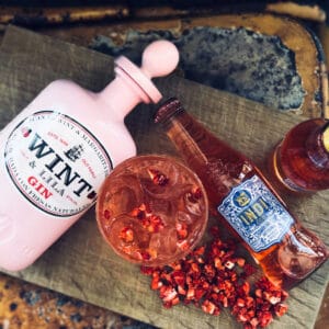 Ginsmagning & Tapas hos Two Socks Studiestræde i K⌀benhavn