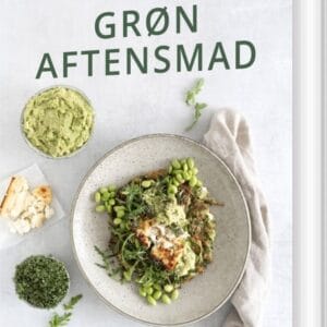 Valdemarsro - Grøn Aftensmad - Ann-christine Hellerup Brandt - Bog
