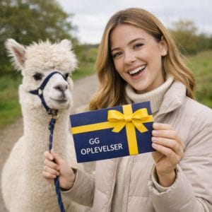 Oplevelsesgaver til hende